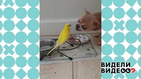 Видели видео 24