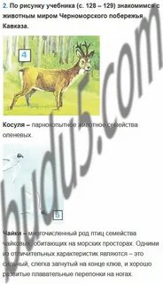 Окружающий мир 4 класс стр 126