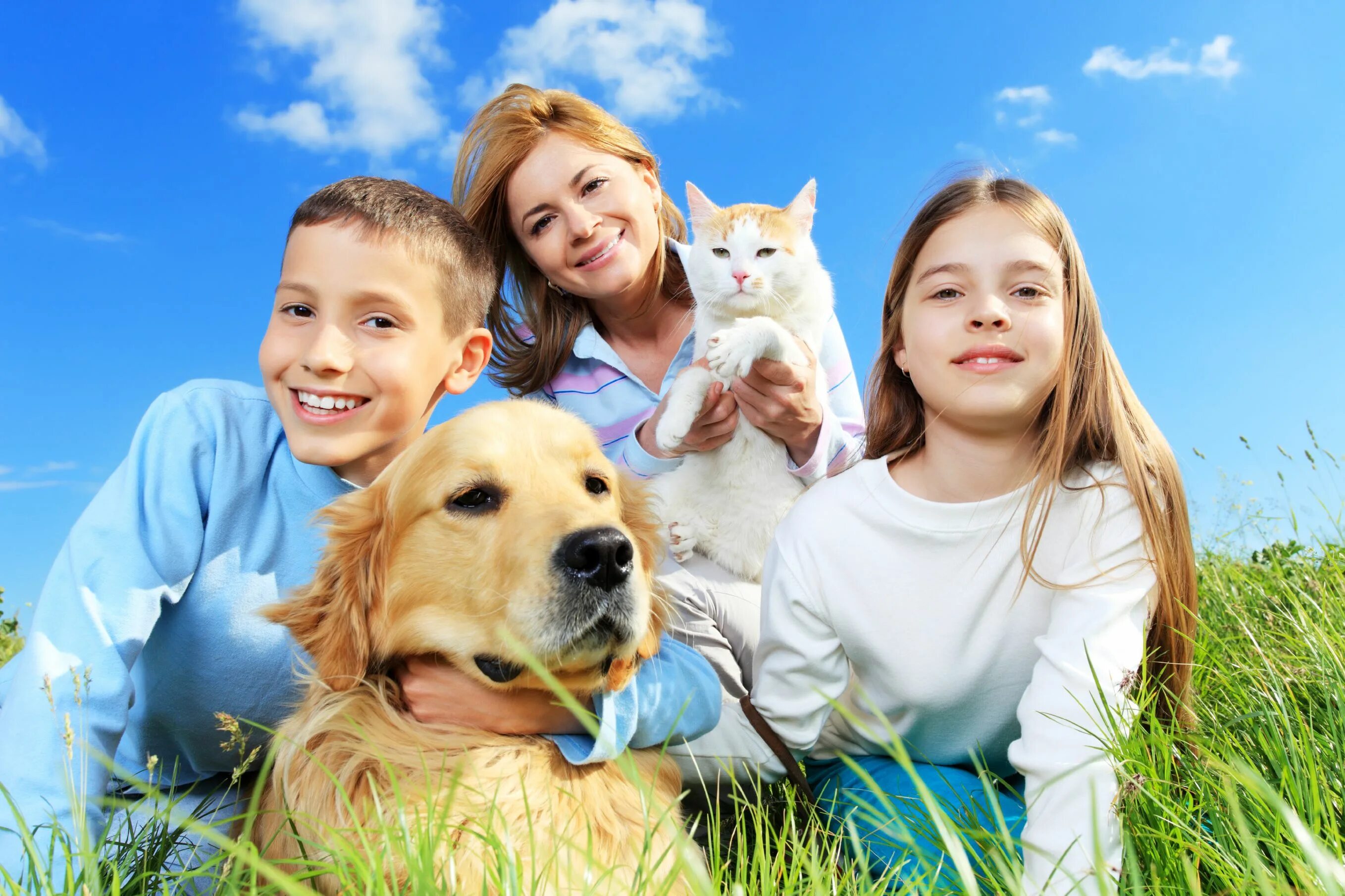 Pet family отзывы. Домашние питомцы. Домашние питомцы для детей. Домашние животные и человек. Люди с животными.