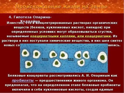 Коацерватная гипотеза