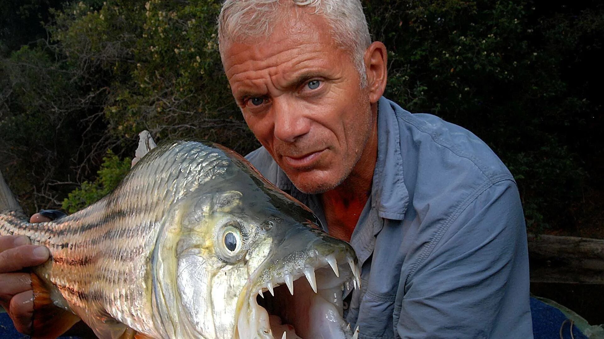 Рыбалка самый большой. Речные монстры тигровая рыба Голиаф.