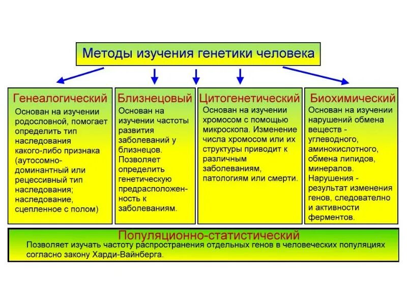 Описание методов генетики. Генетический метод таблица. Методы исследования генетики человека таблица 10 класс. Таблица основные методы генетических исследований. Генетика человека. Методы изучения человека таблица.