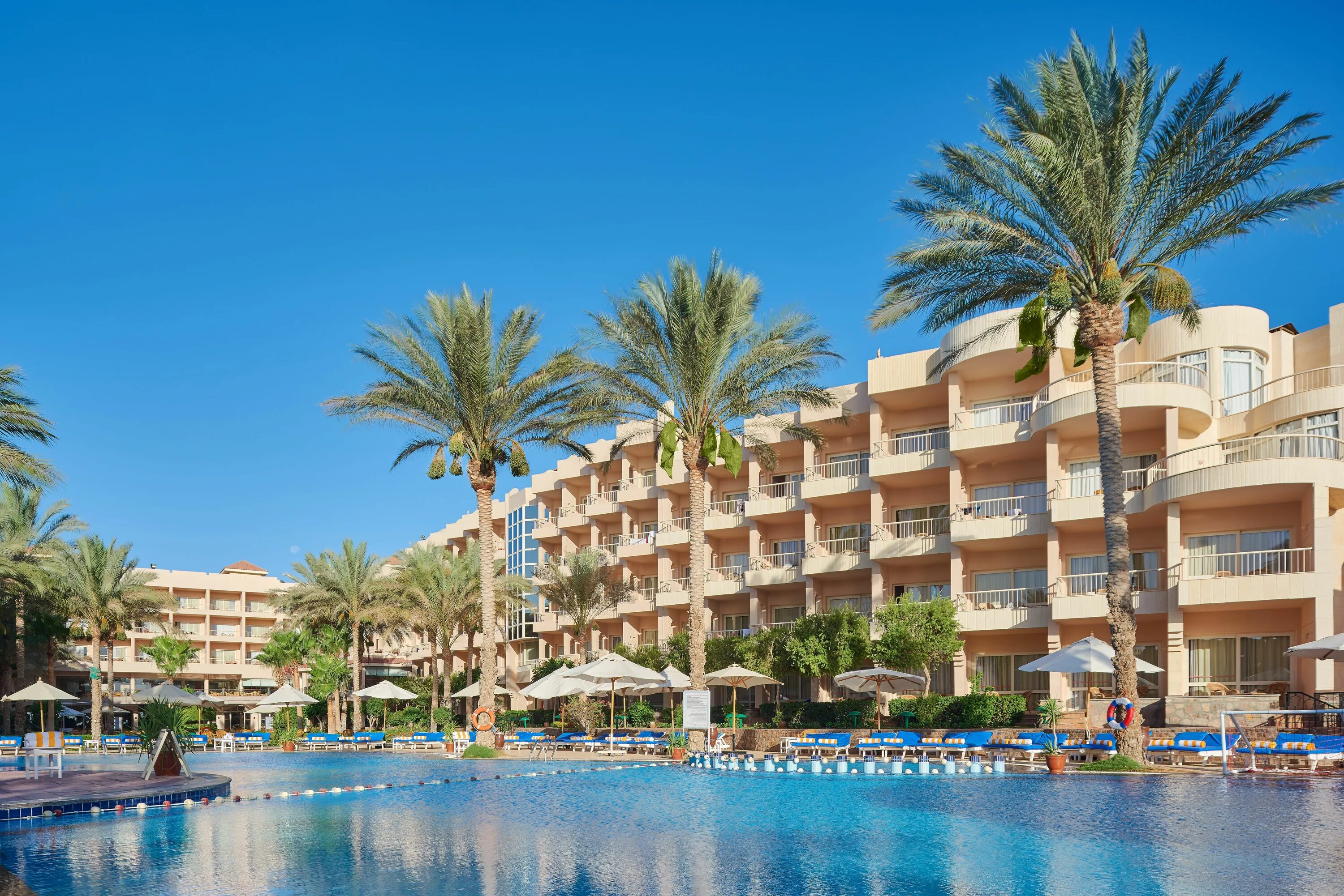 Sea Star beau Rivage Hurghada 5 Хургада. Египет отели Sea Star beau Rivage. Египет Хургада отели 5 звезд.