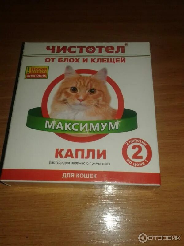 Чистотел максимум капли. Таблетки от блох для кошек. Средство от блох для кошек эффективное. Чистотел капли от блох и клещей для котят. Таблетки от блох и клещей для кошек.