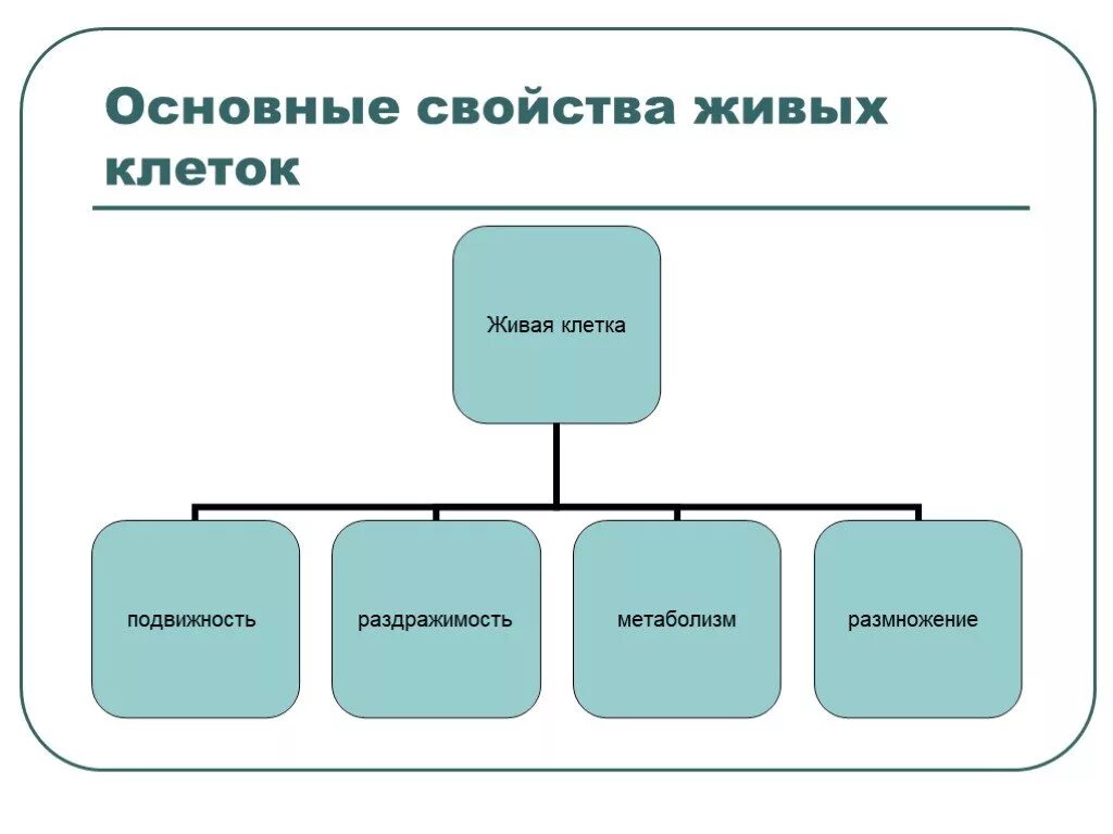 Биологические свойства клетки. Схема клетка Живая система. Схема клетка Живая система 5 класс биология. Пять основных характеристик клетки. Свойства живой клетки.