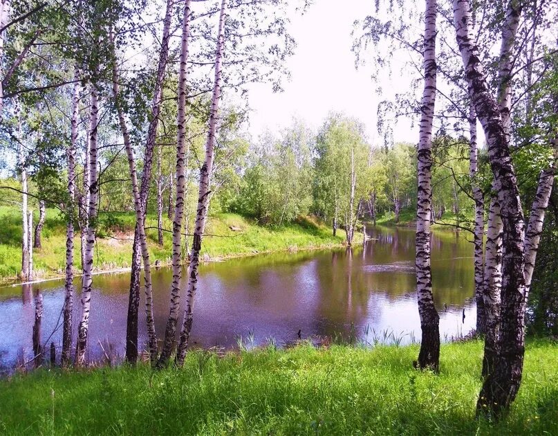 Рассвет на берегу реки Оки. Константиново. Рязанская область. - Фото № 351878