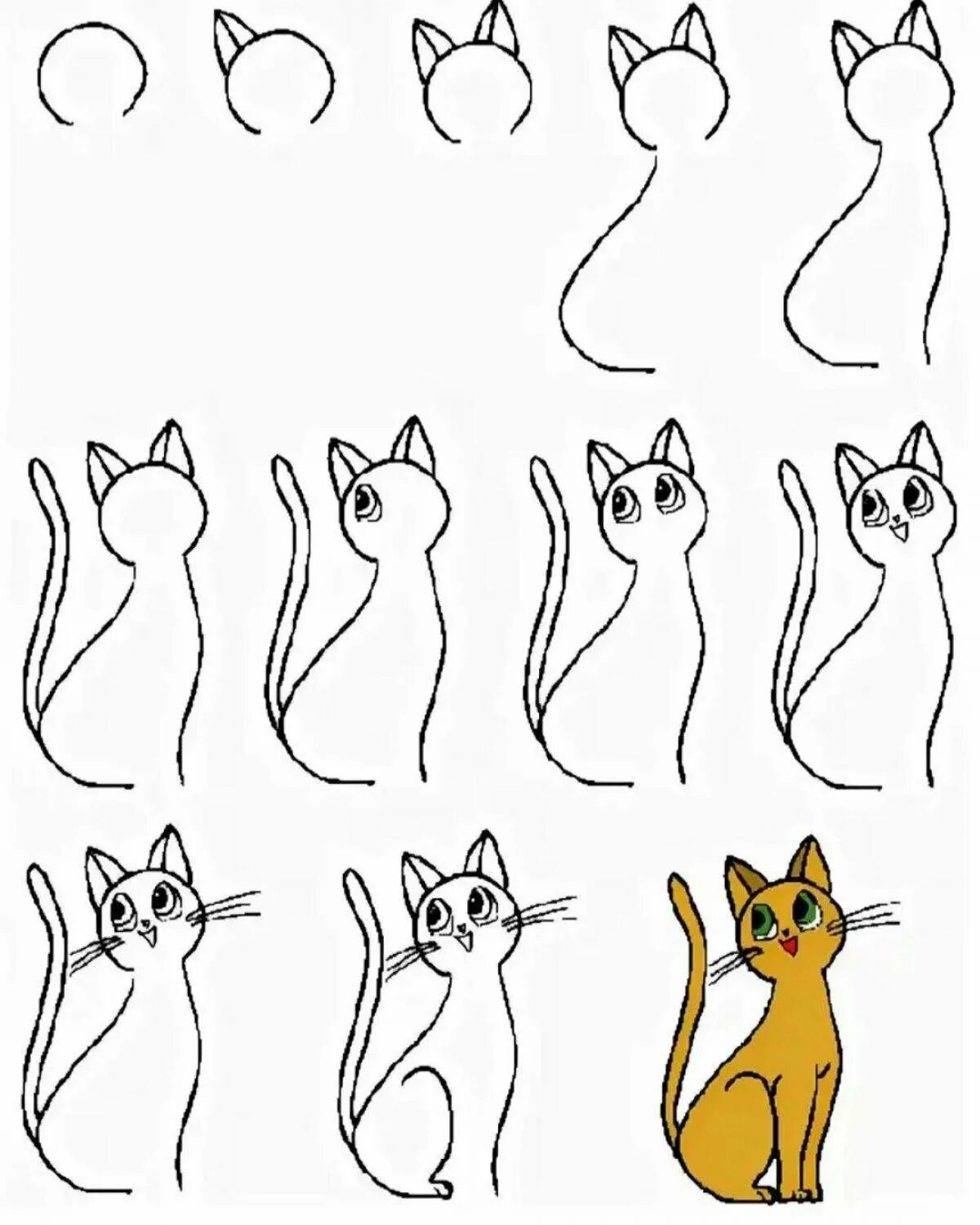 Как нарисовать нужную картинку. Простые рисунки для срисовки для детей. Простые рисунки для срисовывания. Поэтапное рисование кошки. Этапы рисования кошки.