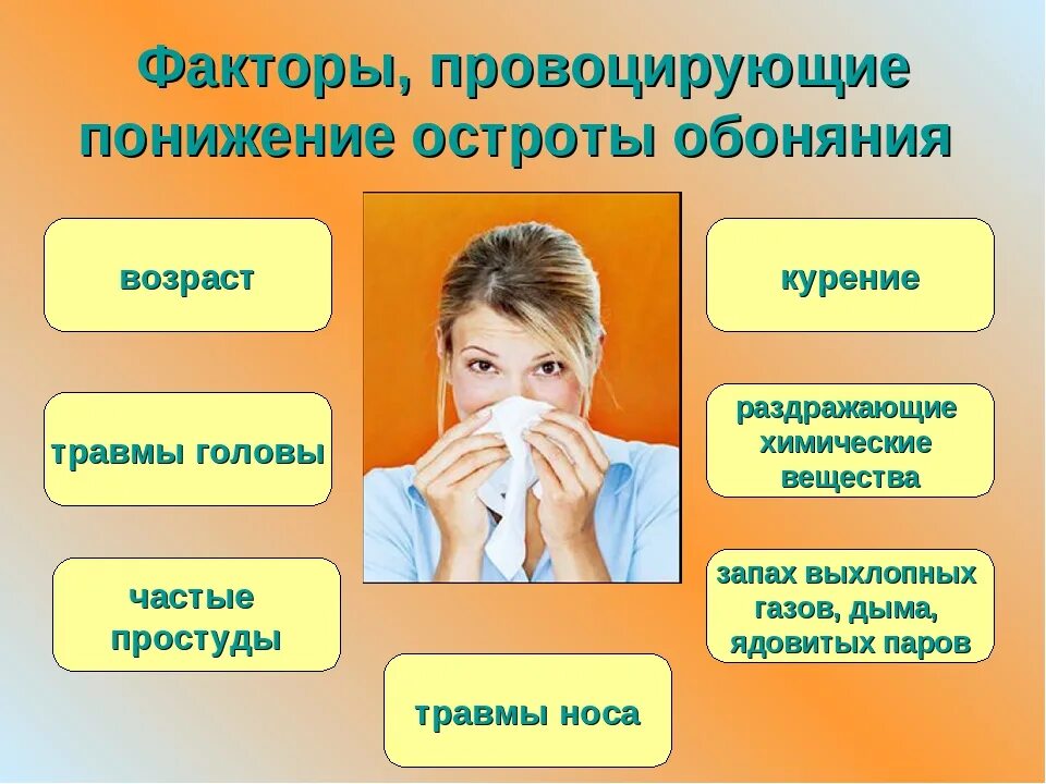 Запах простуды в носу. Восстановление обоняния. Восприятие запахов. Таблетки для обоняния. Симптомы потери обоняния.