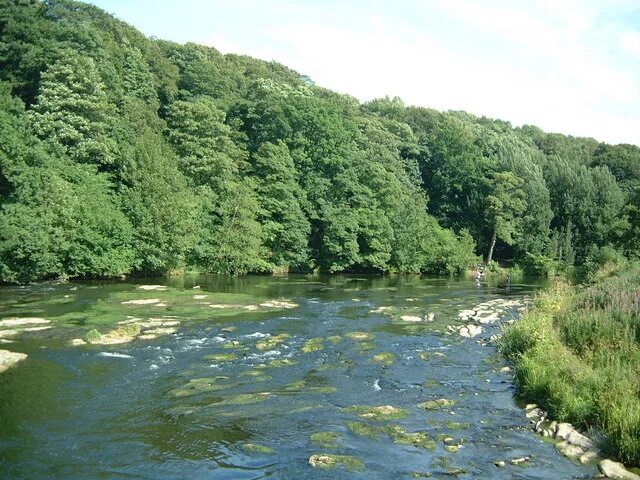 Durhas. Река уир. River wear. Hawkesbury river. River wear.