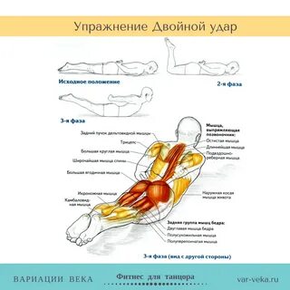 Назовите упражнения для мышц спины