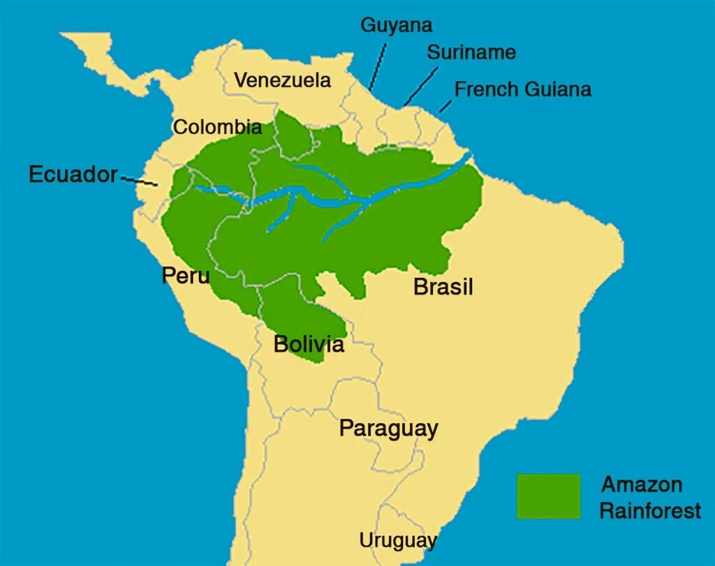 На каком материке находится амазонская низменность. Леса амазонки на карте Южной Америки. Река Амазонка на карте Южной Америки. Река Амазонка в Бразилии на карте. Амазонская Сельва на карте Южной Америки.