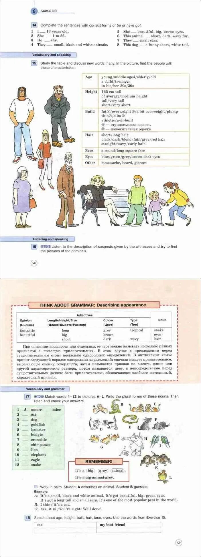 30 Страница английский язык 6 класс Вербицкая. Английский язык 6 класс Вербицкая описание внешности. Think about Grammar Вербицкая. Описание внешности человека на английском языке 6 класс Вербицкая. Английский шестой класс вербицкая учебник