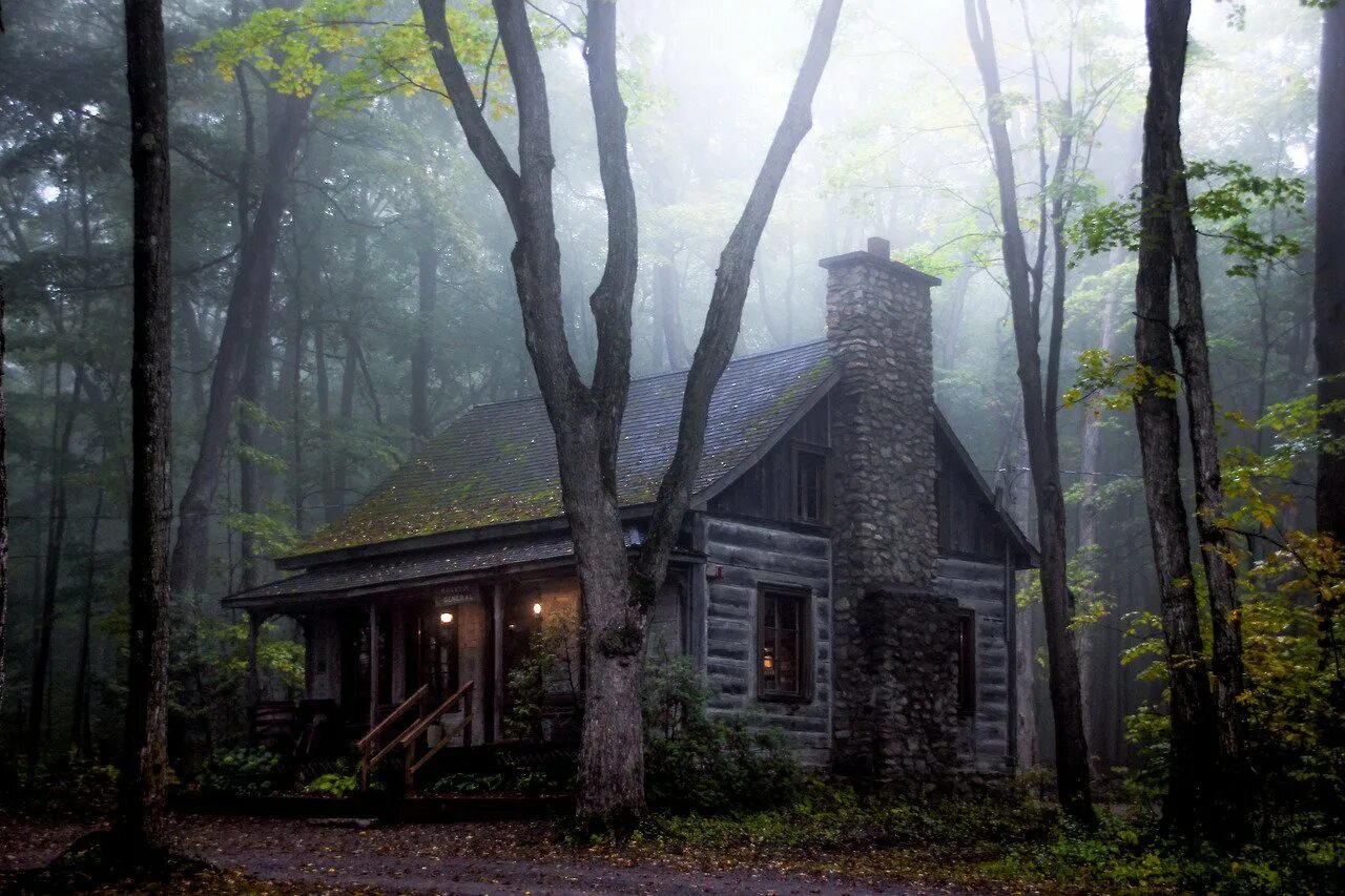 Лес дождь дом. Хижина в лесу екатеринбург. хижина в лесу домик. forest house хижина в лесу. хижина тини.