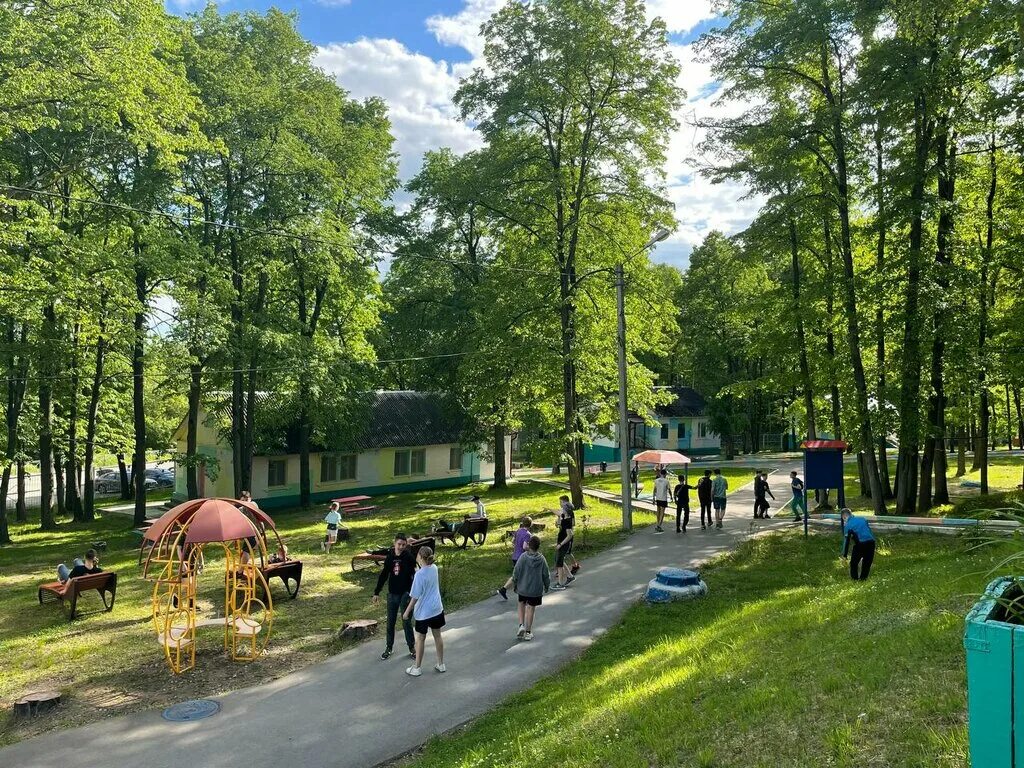 лагерь березка тула. лагерь березка тульская область ленинский. лагерь березка тула фото. лагерь березка медвенка. тульский лагерь березка.