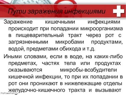 Как не заразиться кишечной инфекцией