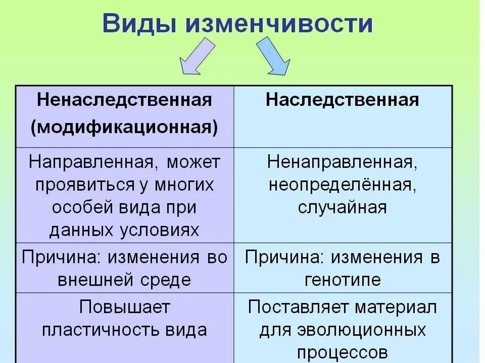 Назовите причины наследственной. Типы модификационной изменчивости. ВИДЫВИДЫ изменчивости. Виды наследственной изменчивости. Типы ненаследственной изменчивости.