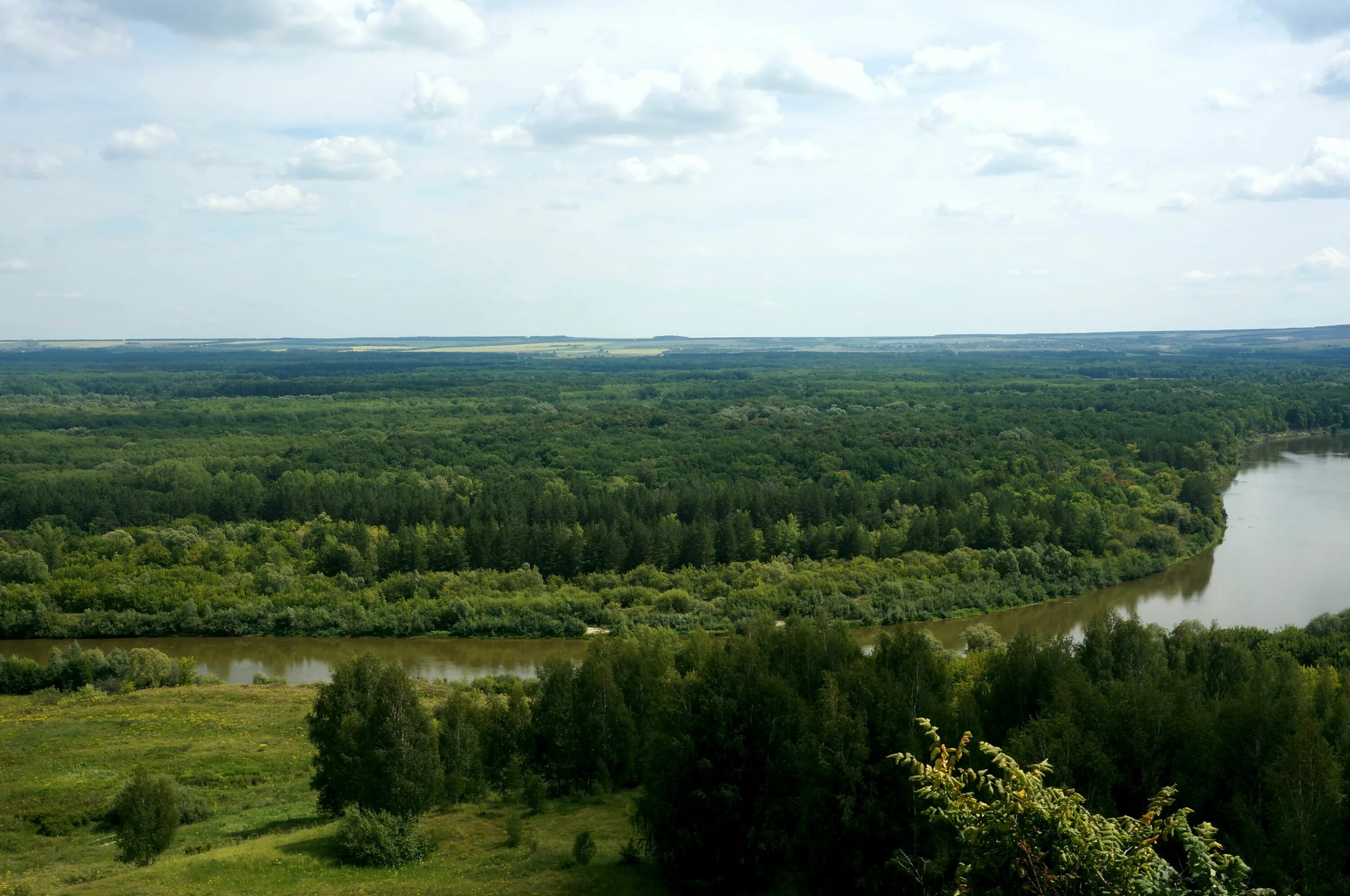 Город на реке сура. Река Сура в Мордовии. Река Сура Ядрин. Река Сура в Чувашии. Сура (приток Волги) в Пензе.