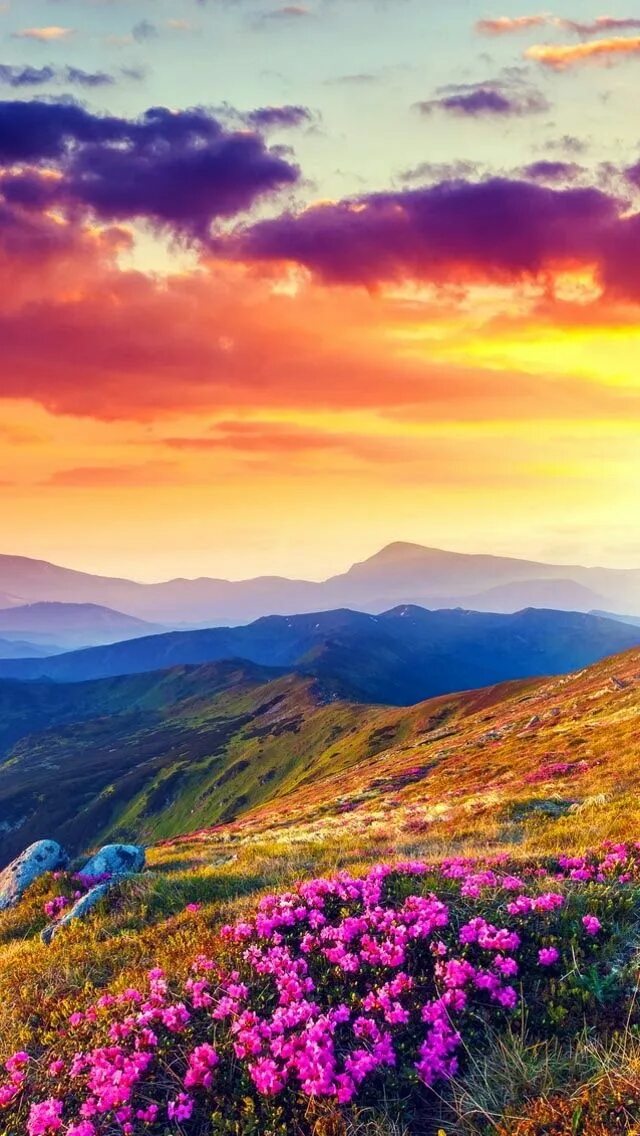 Картинки красочные природа. Яркая природа. Красивая яркая природа. Красивые яркие цвета. Картинки красочные природа.