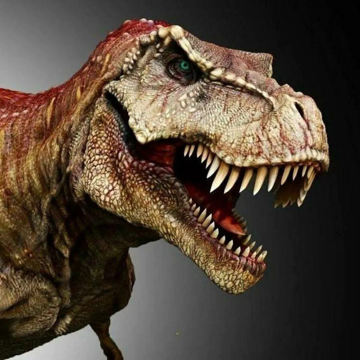 Диназавр. Реранозавор РККС. Рекс Тирекс. T Rex Тираннозавр. Динозавр "Тиранозавр рекс".