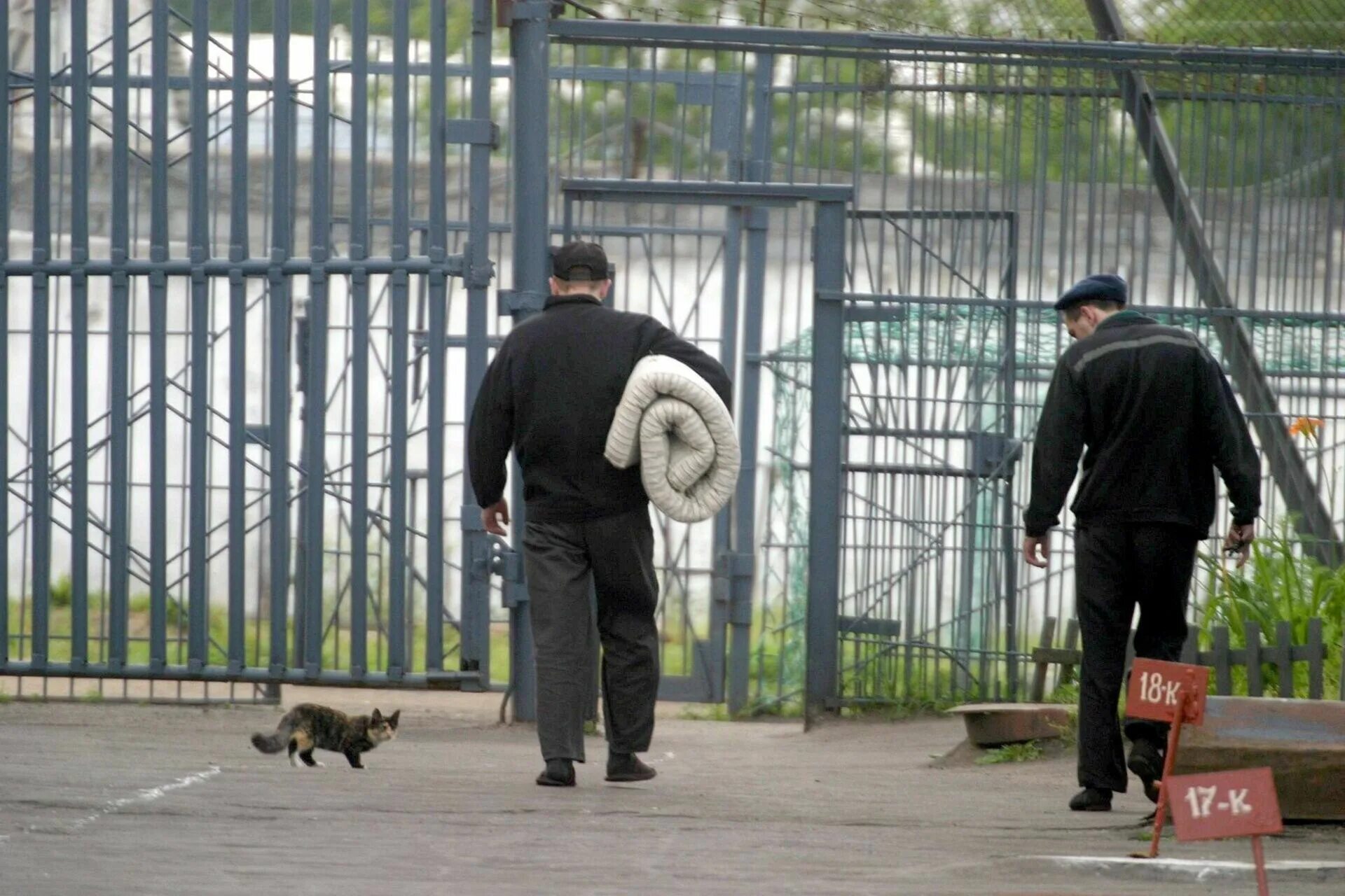Освободить осужденных