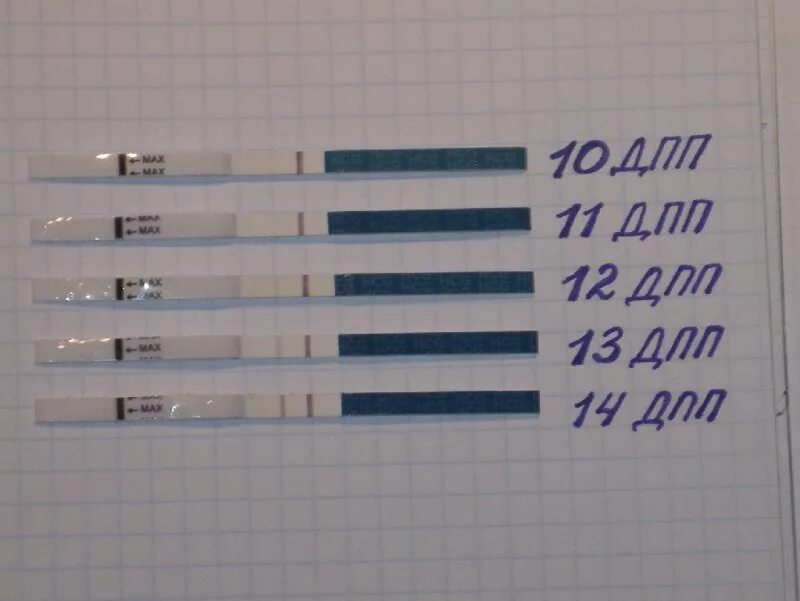 Погода в опарино кировской на 10 дней. Тесты на беременность на 9 день после подсадки. Эко тесты на беременность после переноса эмбриона. Тест на беременность 10 дней после подсадки эмбрионов. Тест на 10 день после переноса.