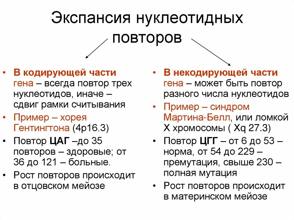 Экспансия 3 нуклеотидных повторов. Болезни тринуклеотидных повторов. Болезнь экспансии нуклеотидных повторов это. Болезни экспансии тринуклеотидных повторов причины. Цели экспансии