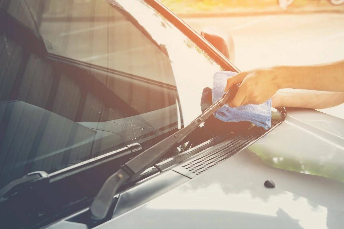 Валик для очистки лобового стекла. Car Front Windshield. Windshield Polish. Очищенное дворниками стекло изображение векторное. Дворники на стекле останавливаются