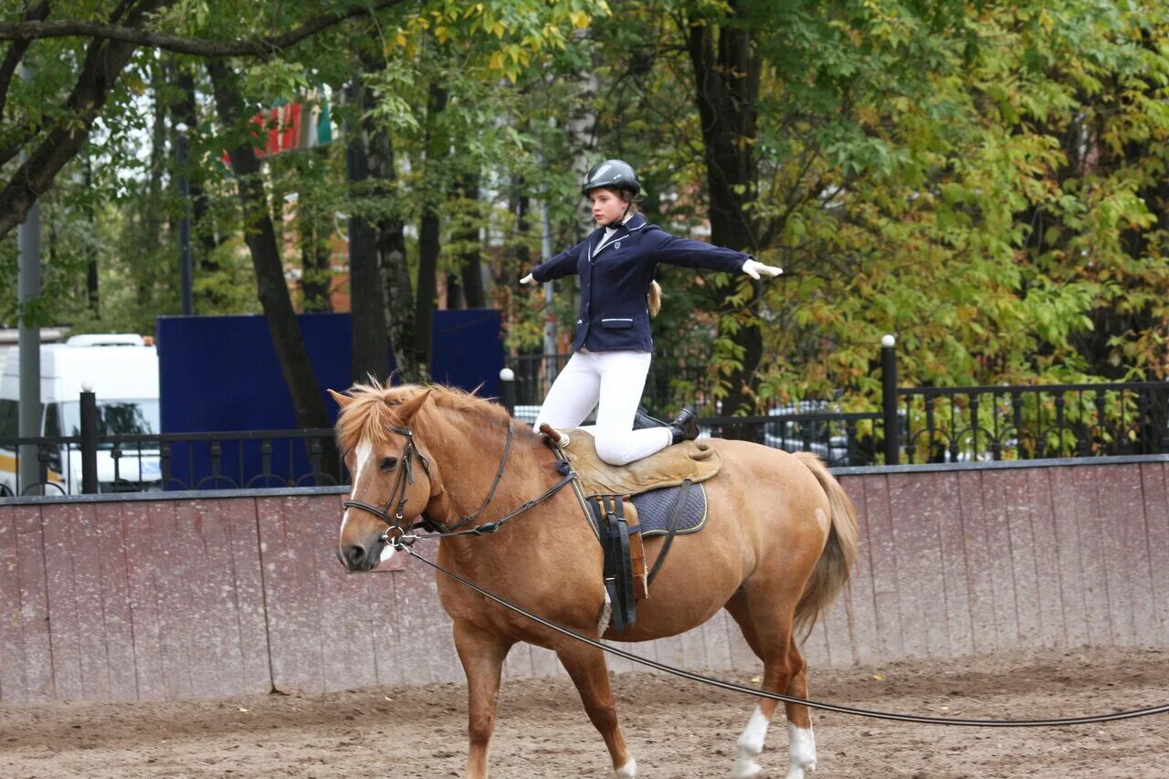 Horse moscow. КСК Фили. КСК Фили конюшня. КСК Сокольники конюшня. Конный клуб Филевский парк.