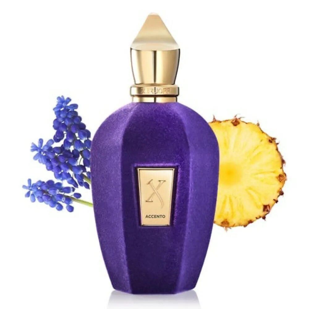 Xerjoff accento. Парфюм Xerjoff Accento. Xerjoff Purple Accento EDP 100ml. Духи Xerjoff Accento женские. Xerjoff Accento (u) EDP 100ml (Test).