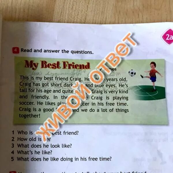 What does ben like doing. Read and answer the questions. He's Tall for his age and quite plump перевод. For his age and quite plump перевод на русский. Years old перевод.