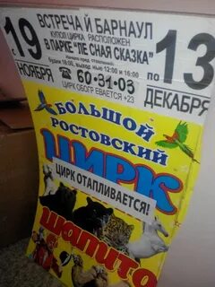 Цирк барнаул расписание