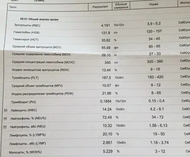 Норма анализов при беременности 1 триместр