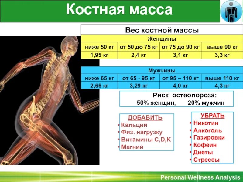 Показатели костной массы в организме. Норма воды жира мышечной и костной массы. Костная масса человека. Вес костной массы человека. С какой частотой обновляются кости