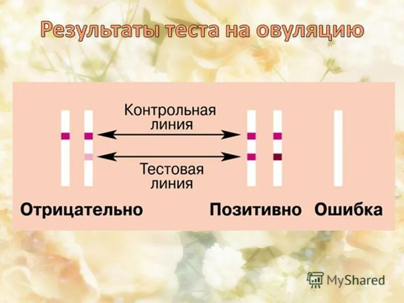 Сколько отрицательных тестов. Сколько отрицательных тестов. Результаты теста на беременность. Сколько отрицательных тестов. Тест пцр на covid-19.