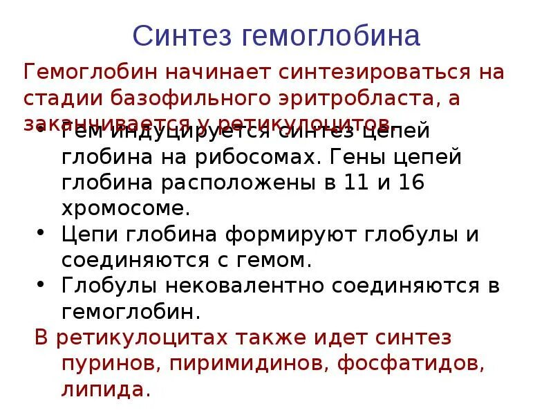 Базофилия цитоплазмы. Факторы необходимые для синтеза гемоглобина. Схема распада гемоглобина биохимия. Железы организма. Схема синтеза гемоглобина.