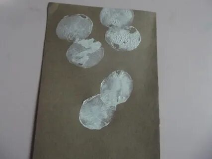 Серое мягкое вещество