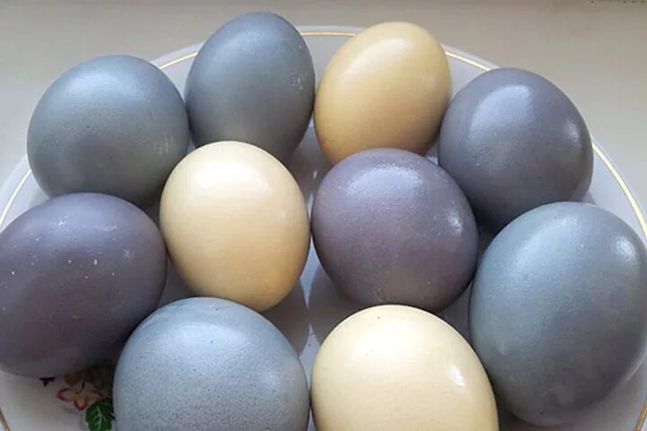 Можно ли красить коричневые яйца. Окрашивание яиц натуральными красителями. Натуральные красители для яиц. Натуральныек расители для Яци. Серые яйца.