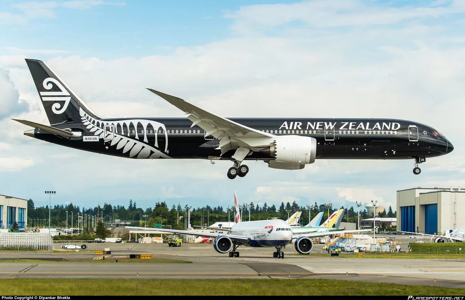 Air new zealand. Boeing 787 Air New Zealand. Boeing 787-9 Air New Zealand. Air New Zealand Дримлайнер. Air New Zealand самолеты.