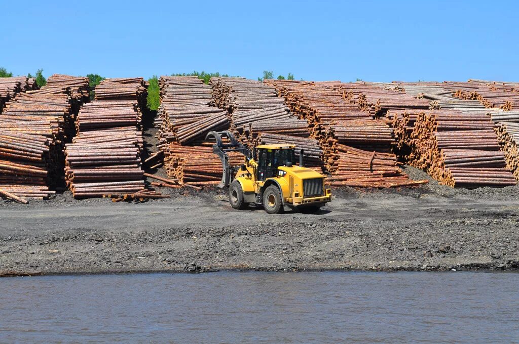 Ладвинский лесхоз. Велвинский комплексный леспромхоз. Пинежский леспромхоз улк. Ладвинский леспромхоз. Харвестер улк.