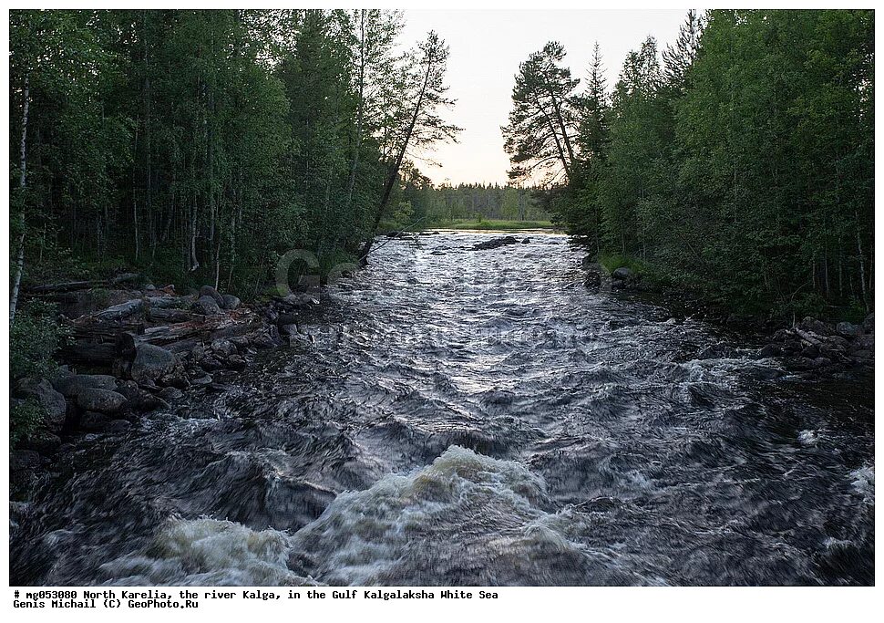 река воньга пороги. пороги на реке шуя в карелии. сплав 2022 кереть. водопад винча карелия. костомукшский природный заповедник.