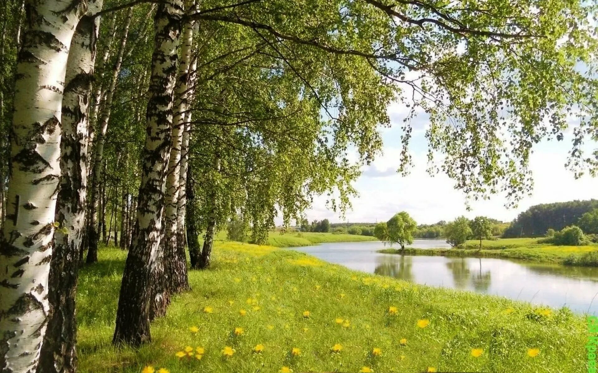 Лето в истоках