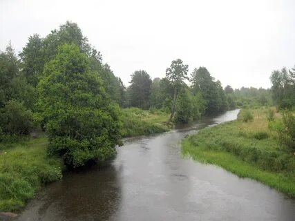 Рыбалка на реке вьюнка