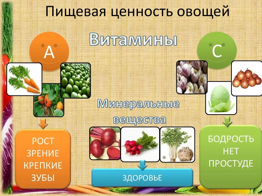 Технология продуктов питания из растительных. Ценность овощей. Пищевая ценностььовощей. Питательные вещества в овощах. Пищевая ценность плодовых овощей.