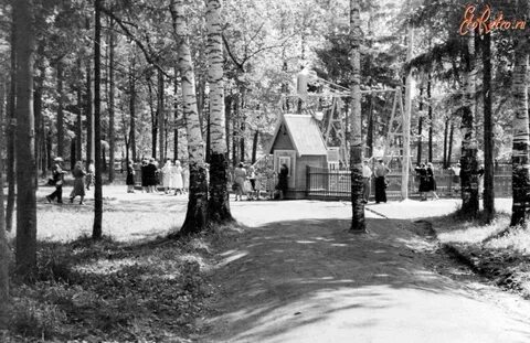 Старый городской парк