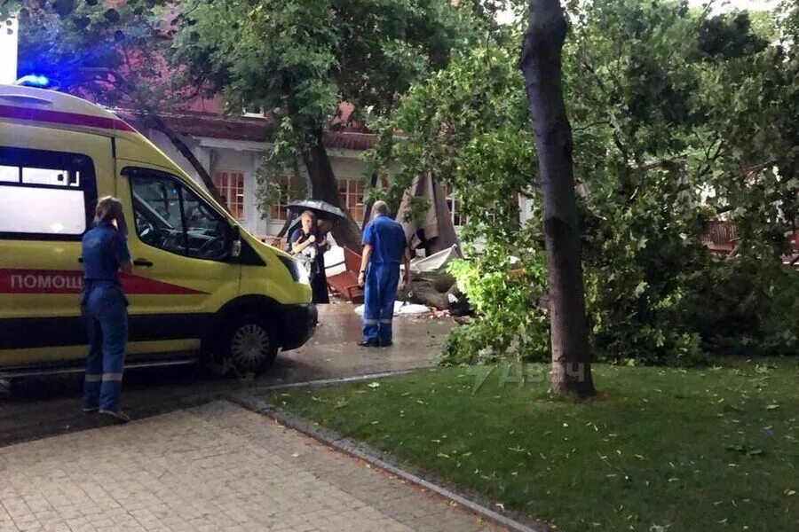 Новости происшествия ньюс. В саду Эрмитаж упало дерево. Ураган в Москве 10 июля 2022. 10 Июля 2022 сад Эрмитаж упавшее дерево. Ураган в Москве вчера.