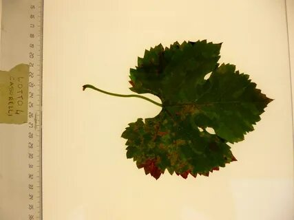 Leaves the area