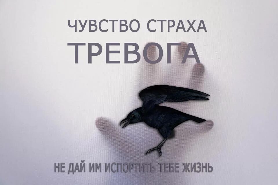 Форум страхи тревога. Чувство страха и тревоги. Ощущение страха и тревоги. Страх тревога беспокойство. Тревожность надпись.