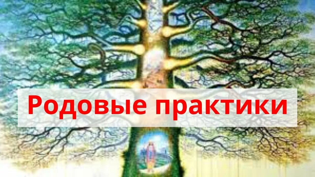 Сила рода. Практика сила рода. Родовые практики. Родовые практики для рода. Родовые практики для очищения рода.