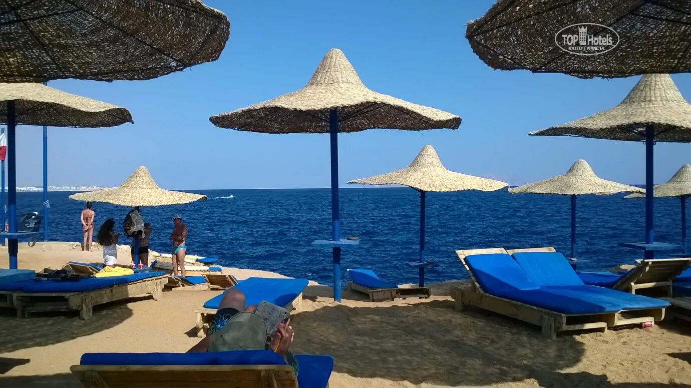 Shores Golden Resort 4 Шарм-Эль-Шейх. Otium Inn Amphoras Aqua Resort. Амфора Бич Шарм-Эль-Шейх. Amphoras Aqua (ex. Shores Golden) 4*.