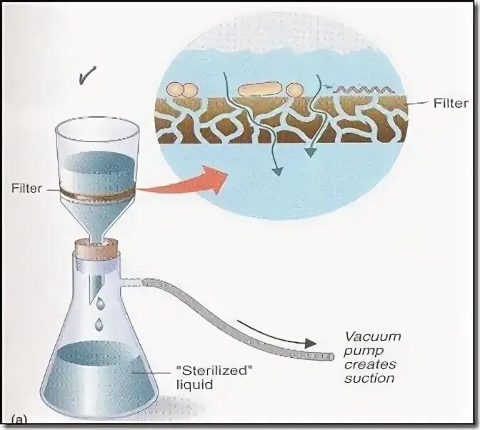 технология ультрафильтрация воды. метод мембранной фильтрации воды. метод мембранных фильтров. фильтрация микроорганизмов. количественный учет микроорганизмов.